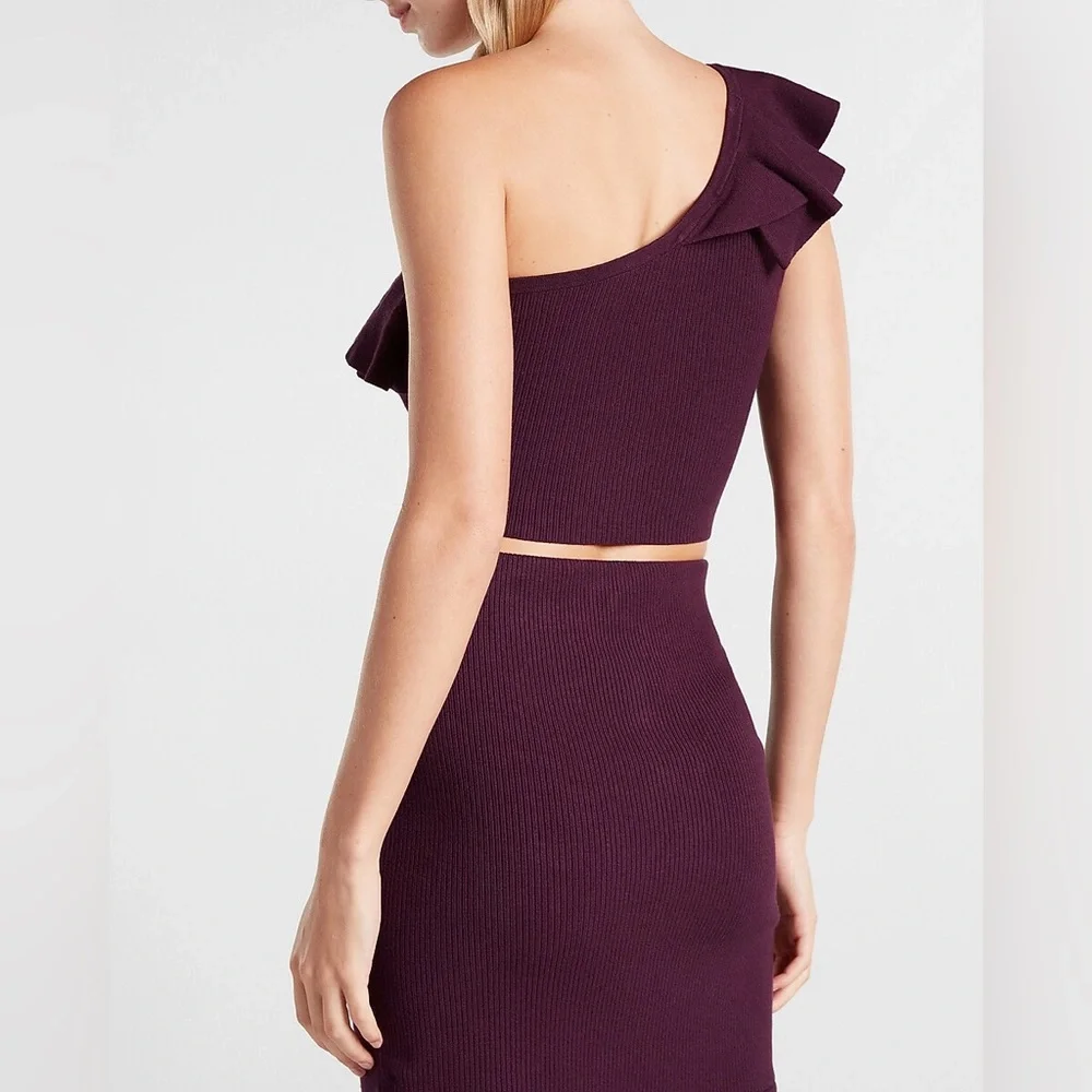 Express Body Contour Plum Ribbed Set of Crop One Shoulder Top and Ruffle Skirt